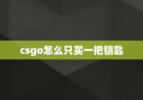 csgo怎么只买一把钥匙