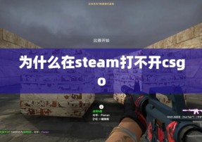 为什么在steam打不开csgo