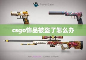 csgo饰品被盗了怎么办