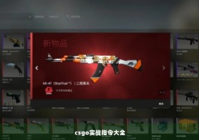 csgo实战指令大全