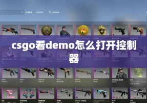 csgo看demo怎么打开控制器