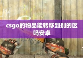 csgo的物品能转移到别的区吗安卓