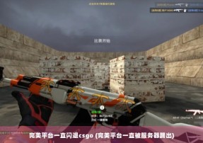 完美平台一直闪退csgo (完美平台一直被服务器踢出)