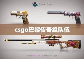 csgo巴黎传奇组队伍