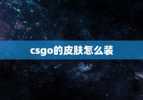 csgo的皮肤怎么装