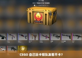 CSGO 自己玩卡顿队友看不卡？