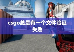 csgo总是有一个文件验证失败