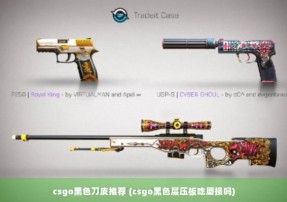 csgo黑色刀皮推荐 (csgo黑色层压板吃磨损吗)