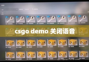 csgo demo 关闭语音