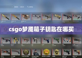 csgo梦魇箱子钥匙在哪买