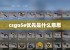 csgo5e优先是什么意思