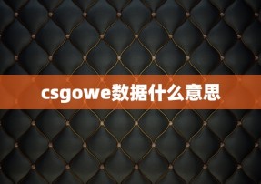 csgowe数据什么意思