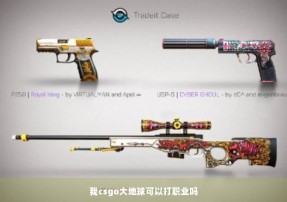 我csgo大地球可以打职业吗