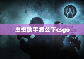 虫虫助手怎么下csgo