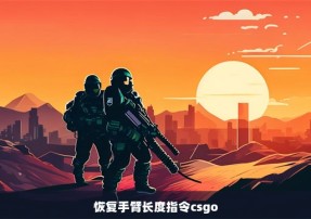 恢复手臂长度指令csgo