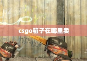 csgo箱子在哪里卖