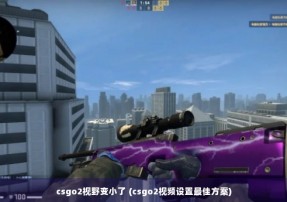 csgo2视野变小了 (csgo2视频设置最佳方案)