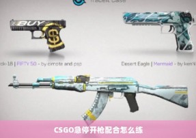 CSGO急停开枪配合怎么练