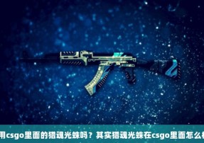 有人用csgo里面的猎魂光蛛吗？其实猎魂光蛛在csgo里面怎么样啊？