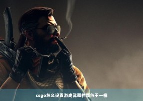 csgo怎么设置游戏武器栏颜色不一样