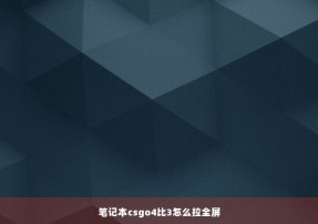 笔记本csgo4比3怎么拉全屏