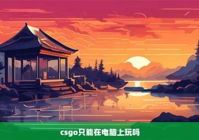 csgo只能在电脑上玩吗