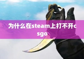 为什么在steam上打不开csgo