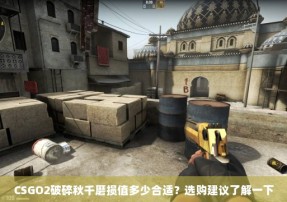 CSGO2破碎秋千磨损值多少合适？选购建议了解一下