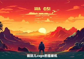 能玩儿csgo的组装机