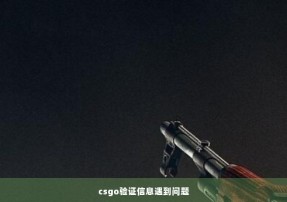 csgo验证信息遇到问题