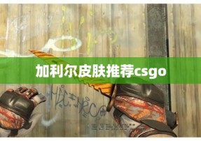 加利尔皮肤推荐csgo