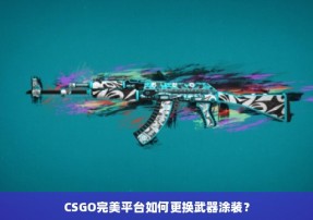CSGO完美平台如何更换武器涂装？