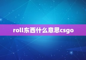 roll东西什么意思csgo