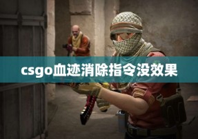 csgo血迹消除指令没效果