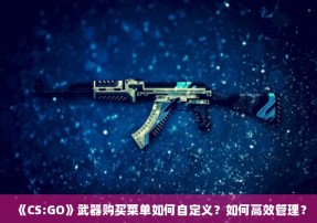 《CS:GO》武器购买菜单如何自定义？如何高效管理？