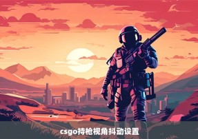 csgo持枪视角抖动设置