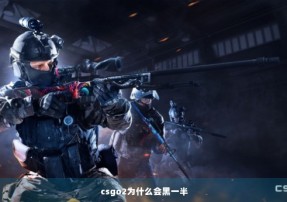 csgo2为什么会黑一半