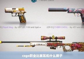 csgo职业比赛耳机什么牌子