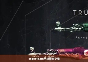 csgosteam手续费多少钱