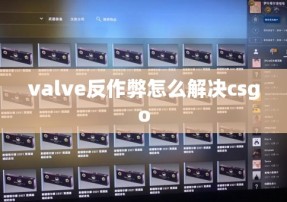 valve反作弊怎么解决csgo