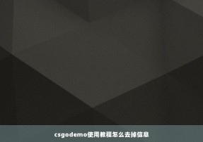 csgodemo使用教程怎么去掉信息