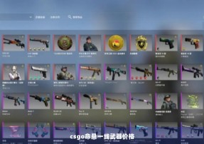 csgo命悬一线武器价格