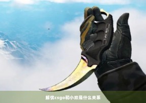 解忧csgo和小欢是什么关系