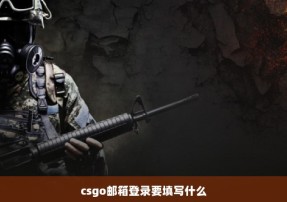 csgo邮箱登录要填写什么