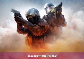 csgo命悬一线箱子在哪买