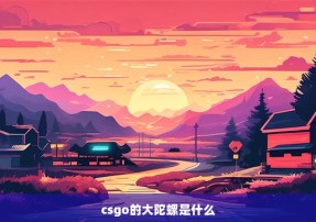 csgo的大陀螺是什么