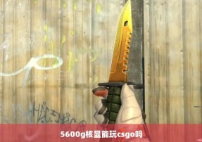 5600g核显能玩csgo吗