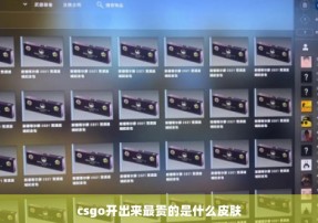 csgo开出来最贵的是什么皮肤