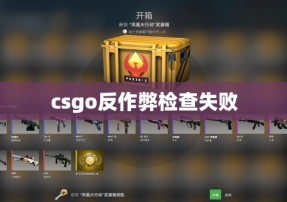 csgo反作弊检查失败