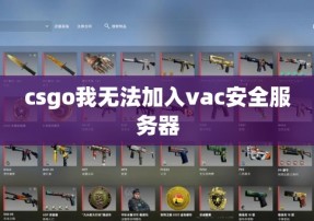 csgo我无法加入vac安全服务器